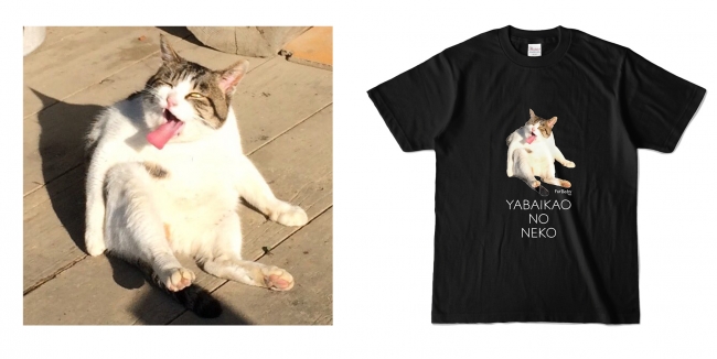 奇跡の表情 ヤバイ顔の猫 Tシャツ発売のお知らせ 株式会社スペースファクトリーのプレスリリース
