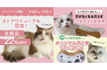 創業10年目の猫の日に、「猫を中心に考える」を形にした3つのニャンペーンを同時開催