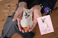 犬好きのおばあちゃん おじいちゃんへ贈りたい。愛犬の写真でつくる、世界でひとつの本革キーケース。敬老の日 1000円offキャンペーンが8月1日よりスタート。