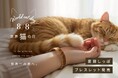 ”うちの猫が世界一かわいい”をかたちに。写真からつくる「愛猫しっぽブレスレット」が、8/8世界猫の日に発売。
