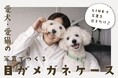 見つめられてる感すごい。愛犬・愛猫の“目”をデザインしたメガネケース新登場。