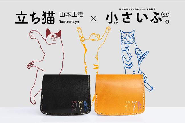 ねこ！ネコ！猫まみれ！8月8日「世界猫の日」をお祝い。猫好きには 