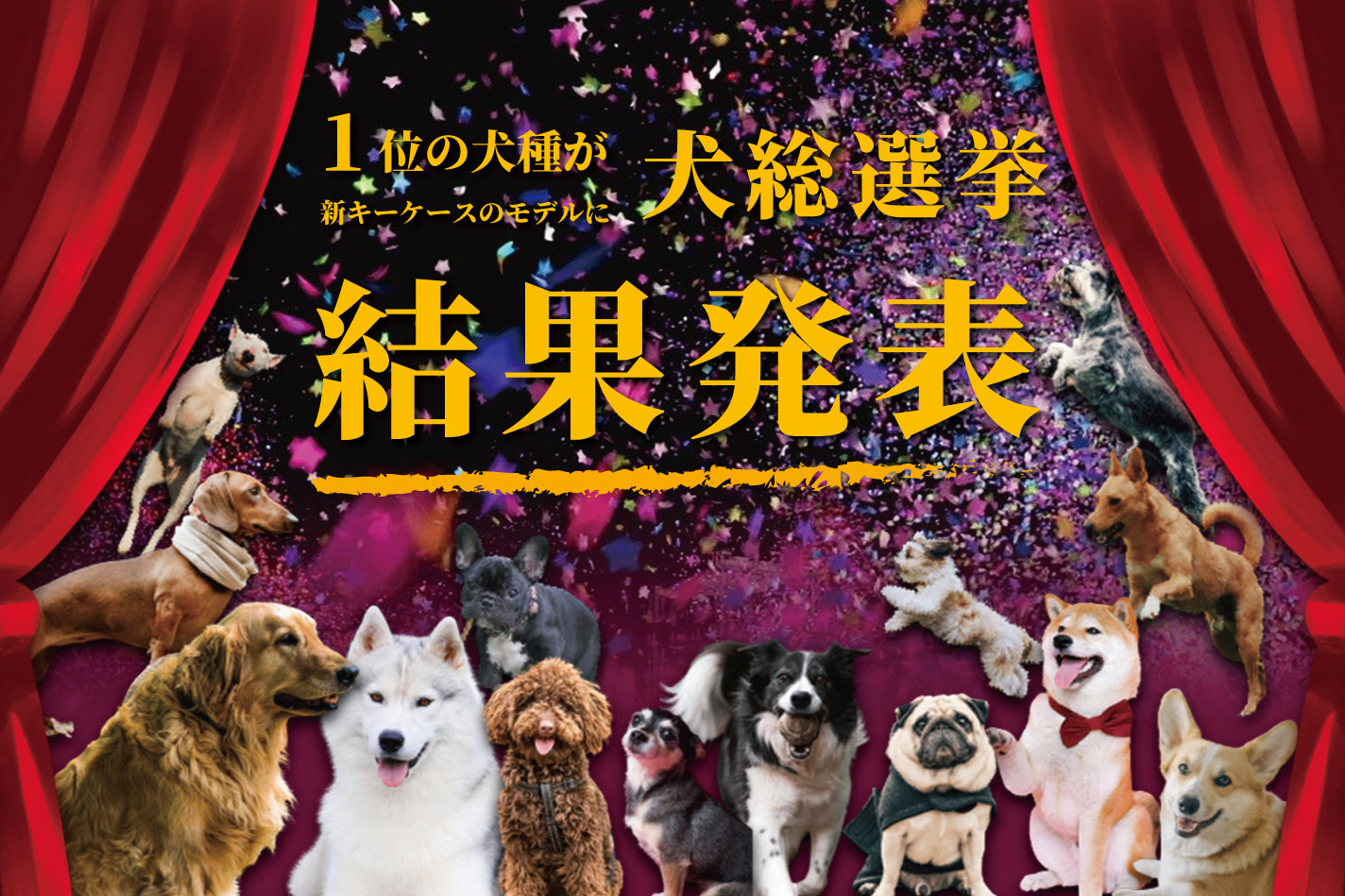 犬好き370人が選んだ 好きな犬種ランキング22年 第1位に選ばれたのはあの犬種 小さいふ クアトロガッツのプレスリリース