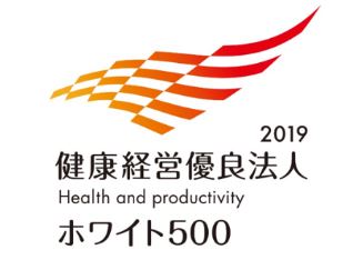 D31551 19 379653 0