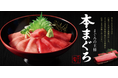 和食麺処サガミ まぐろの王様【本まぐろ】フェア開催!