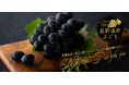 和食麺処サガミで「ナガノパープルデザート」を販売‼