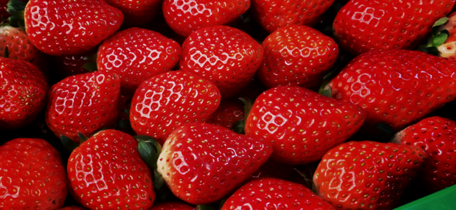ライブコマースのonpamallに 千葉県九十九里浜のいちご農家 Strawberry Brothers が21年4月27日 火 にオープン 時事ドットコム
