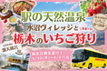 【 春限定 】満開の桜×絶景の天然温泉×いちご狩り！「水沼ヴィレッジ」で国産牛すき焼を味わう、春の贅沢 “日帰り” バスツアーが登場！