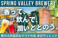 【 新体験 】“奇跡のホップ” がサウナで香る。SPRING VALLEY BREWERY×水沼ヴィレッジ、五感で味わうクラフトビール・コラボ 5月1日（金）より限定開催！