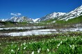 長野県HAKUBAVALLEY 「つがいけマウンテンリゾート」北アルプスの絶景と高層湿原が織りなす天空の「栂池自然園」へ!