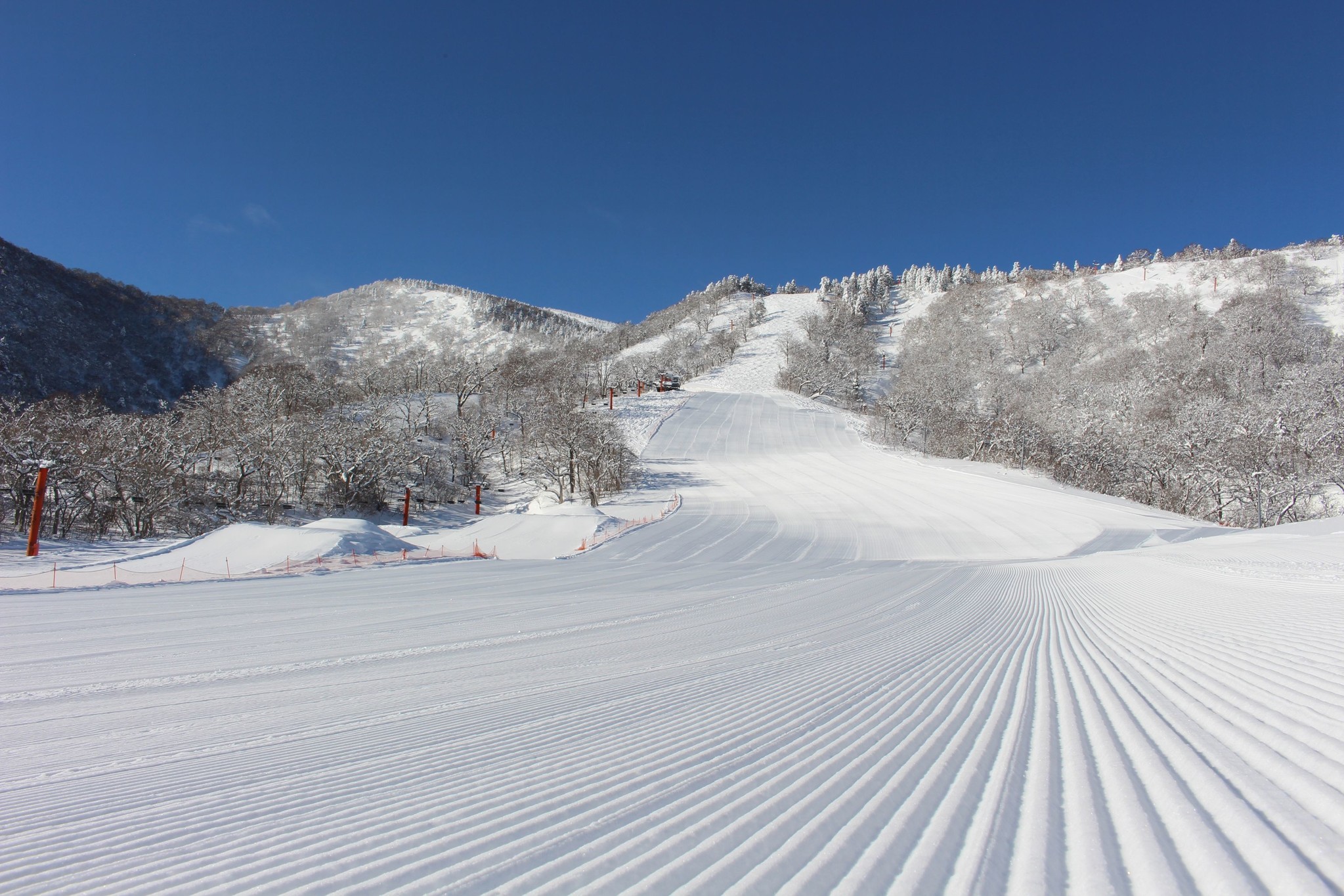 えぼしスキー場 リフト券 1日券 １枚 大人 宮城県 宮城蔵王 - スキー場