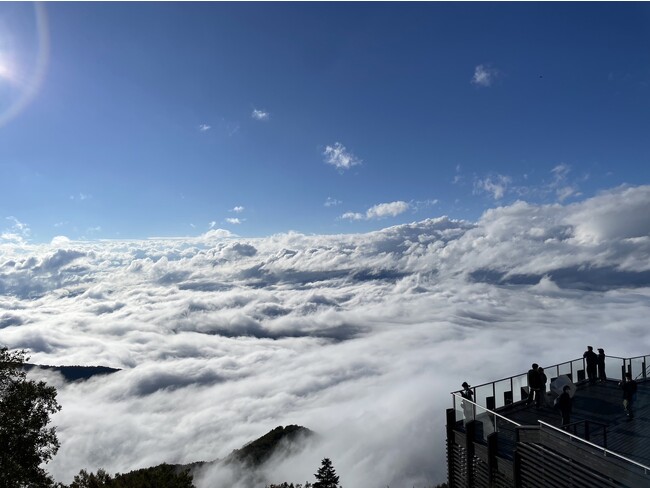 雲海確率2022年65.9％