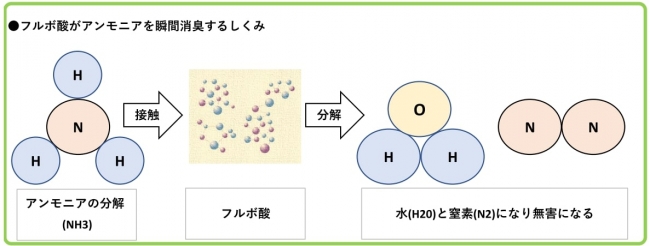 アンモニアを分解消臭する仕組み