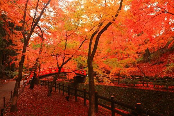 北野天満宮