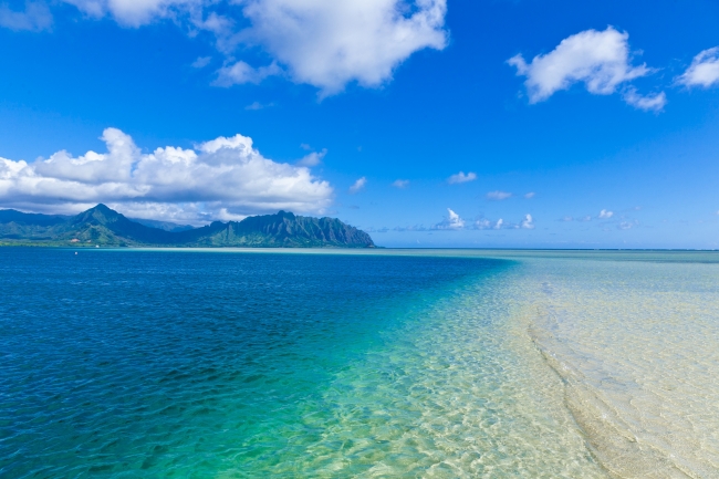 ハワイで人気のオプショナルツアー 天使の海 が当たる ついてる Hawaiiキャンペーン 第3弾 スタート 株式会社jtbのプレスリリース
