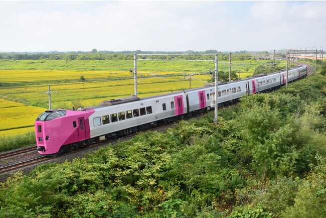 貸切列車と菜の花畑(イメージ) 貸切列車と菜の花畑(イメージ)