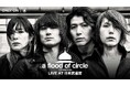 a flood of circle 初の単独武道館公演をU-NEXTにて独占生配信決定！
