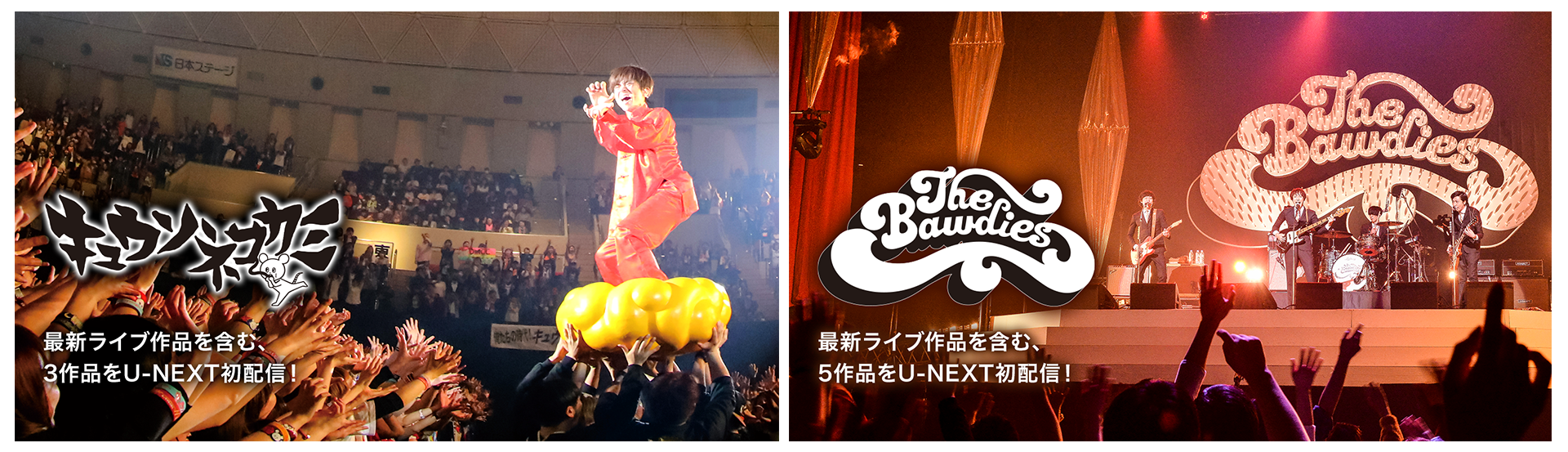 キュウソネコカミ The Bawdiesなど邦楽ロックバンドライブほか14作品をu Nextが一挙配信 株式会社 U Nextのプレスリリース