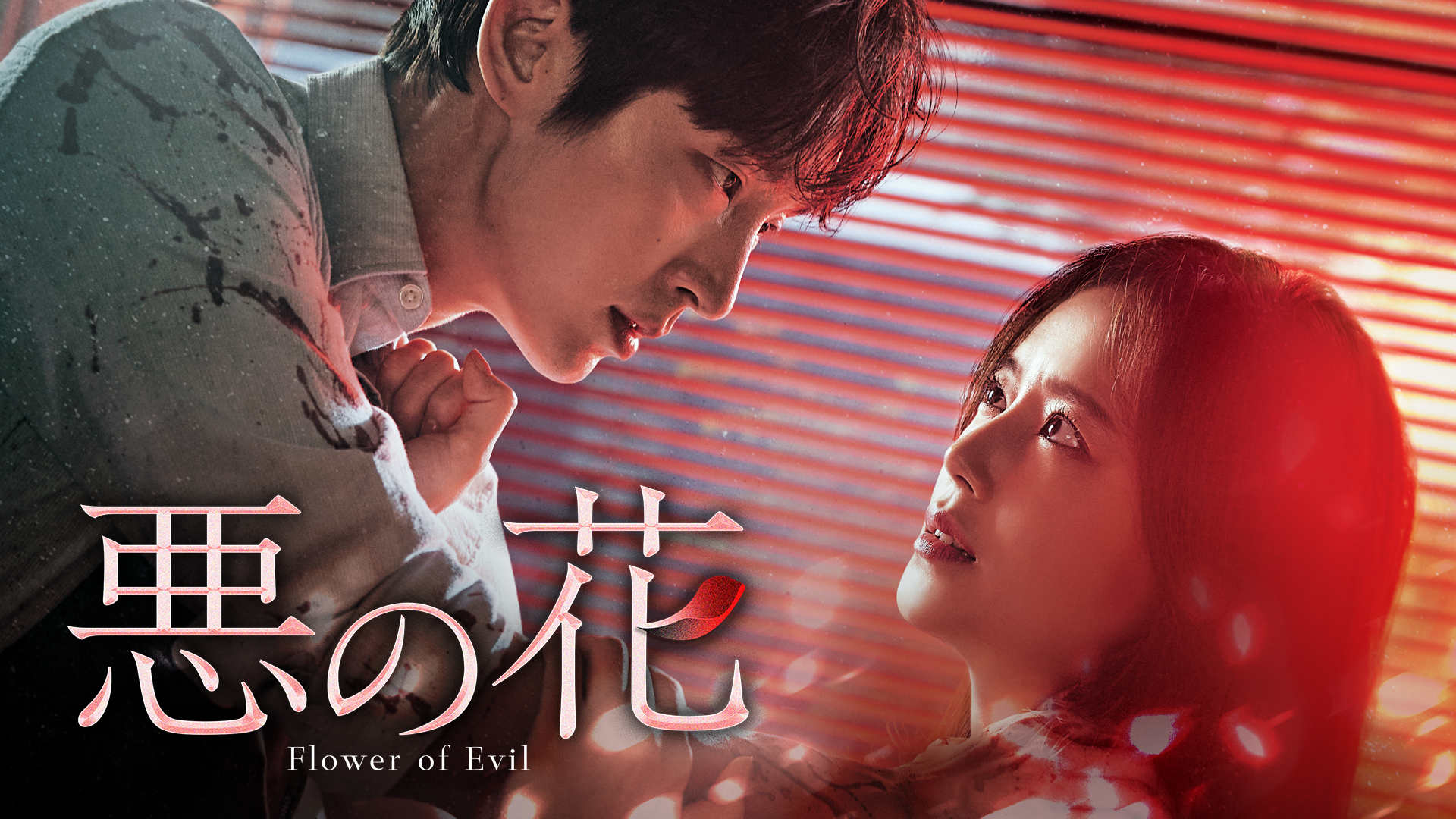 【未使用近い】イ・ジュンギ主演「悪の花」韓国版 Blu-ray(ブルーレイ) イジュンギ様主演の悪の花2セットで販売します！