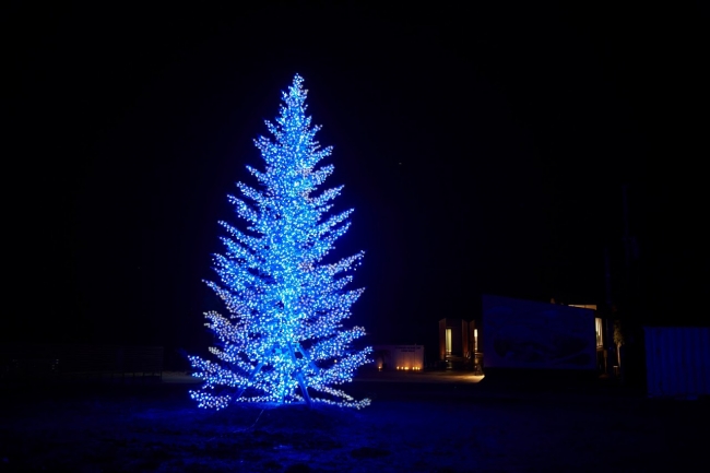 イルミネーションの輝きが復興の力になる 南房総イチ巨大なクリスマスツリーに 海 をイメージしたコバルトブルーのイルミネーション を5万個点灯 バンズシティ株式会社のプレスリリース