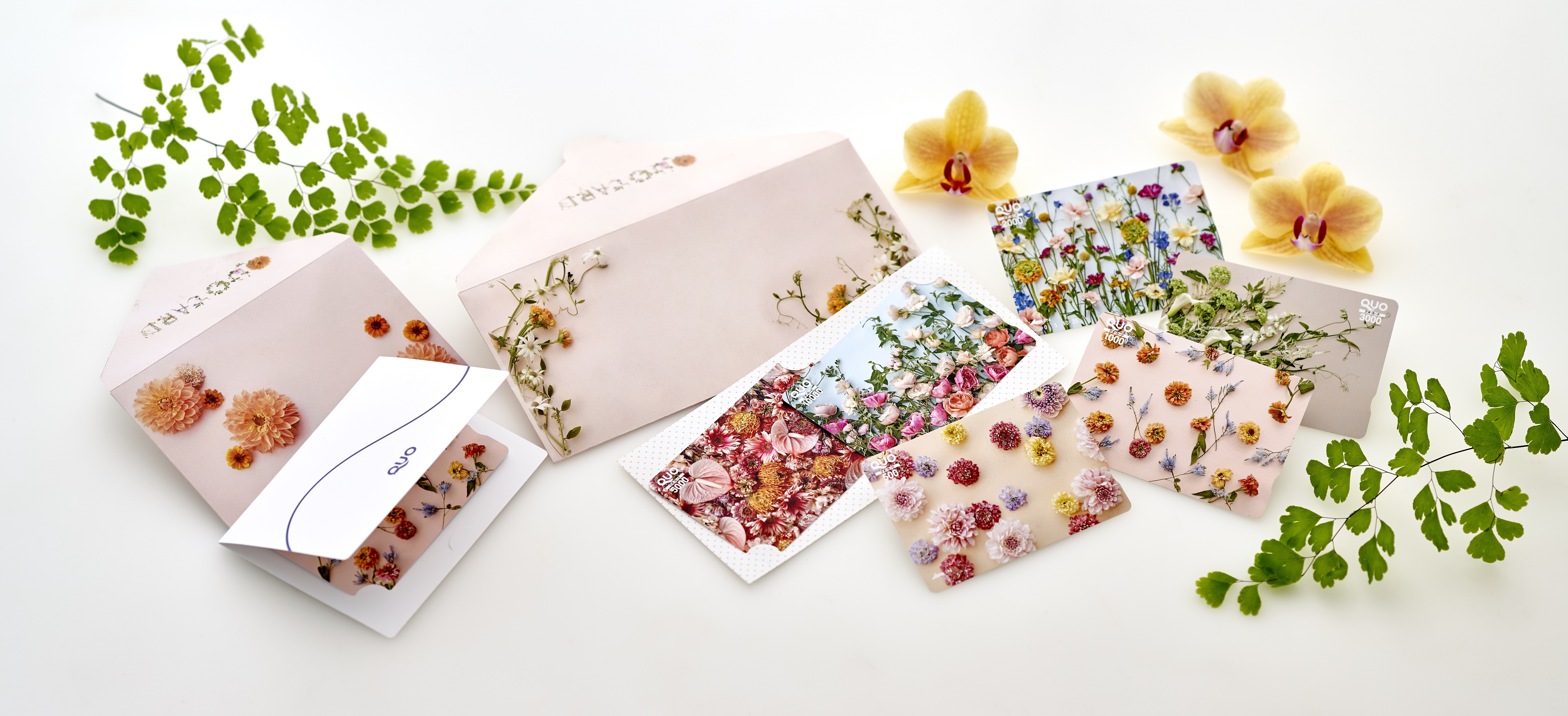 日比谷花壇 Quoカード 大切な方に贈る花束のようなギフト をコンセプトにしたquoカード カードケース新発売 株式会社クオカードのプレスリリース