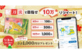 QUOカード＆QUOカードPay　公式Twitter共同企画　今年は共に頑張ろう！目指せ10万リツイート　合計1,000円分の「QUOカード＆QUOカードPay」が最大1,000名様に当たる！