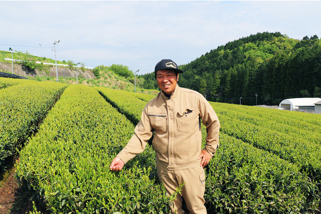 原料生産者の「お茶の川谷園」川谷哲也氏。耶馬溪の豊かな自然の中で親子2代にわたりお茶を育成。日本国内でもごく僅かしかいない「茶聖」の称号を持つ