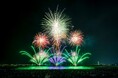 【開催レポート】「泉州夢花火 in 泉南」約2万5千人が来場、光と音が織りなす圧巻の花火演出に感動!