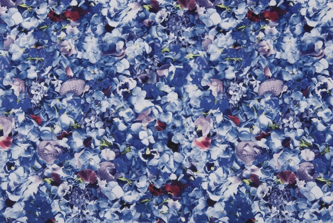 フラワーアート集団「Plantica」 とのコラボアイテム。 ブルーが基調の花柄が特徴。