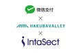 インタセクト、白馬バレーエリア(白馬村・小谷村・大町市)にWeChatPay(微信支付)決済をメインとするIntaPayを導入