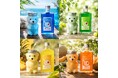 猛暑の夜は、くまボトルで“大人のクリームソーダ”。純喫茶ブームから生まれた、見ても飲んでも楽しめる新感覚リキュール。