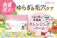 【春のゆらぎ*1&毛穴ケアができる】低刺激処方*2のクレンジングバーム「夢みるバーム スプリングモイスチャー」が数量限定発売!