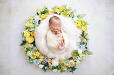 ３歳の歌姫 村方乃々佳ちゃん 初めての着物やドレスの七五三衣装で七変化 Web動画 Happybirthday七五三のうた １０月２０日 水 より公開 株式会社 スタジオアリスのプレスリリース