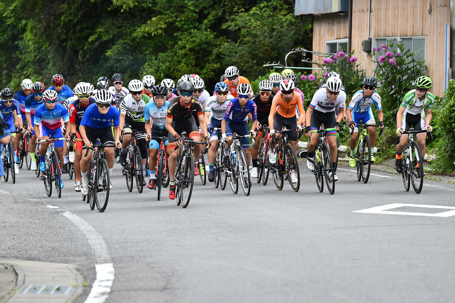 2017 レース 自転車 登録