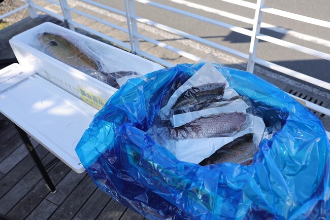 ドローン配送された商品 (指宿朝締め鮮魚) ドローン配送された商品 (指宿朝締め鮮魚)