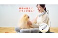 Makuakeで大反響！両手が使えるペット用ドライヤー「HUG AIR」一般発売開始。シャンプー後のドライをストレスフリーに