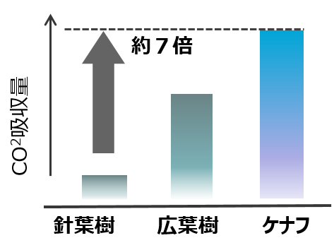 CO2吸収能力