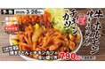 【炭水化物2階建て】新年度も全力飯。「ホルモン焼きうどんとチキンカツの合い盛り」かつやに新登場!