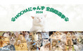 猫カフェMOCHA初の全国猫総選挙、選抜にゃんずが決定!本選はオンラインでいつでもどこでも投票可能!全国のにゃんずの中から全国1位に輝くのは誰だ?「MOCHAにゃんず全国総選挙2024」本選がスタート