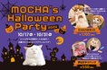 猫カフェMOCHAがお届けするハロウィンだけの特別な世界!『MOCHA's Halloween Party 2024』