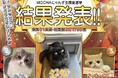 話題のにゃんず全国総選挙の優勝にゃんずが決定!全国からの3万票を超える投票数で大盛り上がり! 接戦を制し大逆転でMOCHAにゃんずの頂点に立ったのは!?「MOCHAにゃんず全国総選挙2024」結果発表