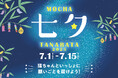 猫カフェMOCHA全店で初の七夕イベント開催決定!かわいい猫と一緒に短冊に願いを込めようInstagram投稿でステキな賞品が当たるチャンスも「MOCHA七夕2025 〜にゃんざくに願いを込めて 〜」