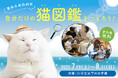 “世界にひとつの図鑑”をつくろう!猫との自由研究体験が今年も登場!昨年限定開催ながら大好評だったイベントが、全国で体験できる!「夏休み自由研究 自分だけの猫図鑑をつくろう!」