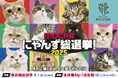 推し猫No.1を決める全国規模の熱戦!国内外 全39店舗総勢830匹が参加する猫カフェMOCHAの”猫の祭典”「MOCHAにゃんず総選挙2025」開催