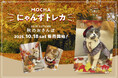 秋風情の溢れる紅葉や落ち葉と共ににゃんずたちが大集合！期間限定の特別なトレカを集めよう「MOCHAにゃんずトレカ〜2025 Autumn〜 秋のおさんぽ」