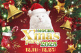 今年もMOCHAのにゃんずと過ごす、心ときめくクリスマスを！「MOCHA Christmas Party 2025」開催Instagram投稿でおやつGET！限定ポストカードのプレゼントも