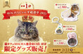 「MOCHAにゃんず総選挙2025」世界1位記念！特別な装いをまとった、ぽぽの記念コレクションが登場「池袋東口店 ぽぽ 優勝記念グッズ発売決定」