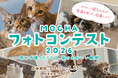 【猫カフェMOCHA】「MOCHAフォトコンテスト2026」開催決定！人気芸人のかが屋 加賀翔さん、ぱーてぃーちゃん 信子さんが特別審査員に就任
