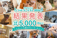【応募総数5,000件超！】猫カフェMOCHA「MOCHAフォトコンテスト2026」結果発表！