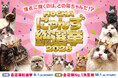 国内外40店舗・850匹以上が参加！推し猫を応援する秋の大イベント「MOCHAにゃんず総選挙2026」